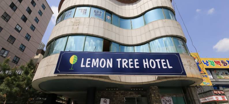 大田柳城柠檬树酒店(Daejeon Yuseong Lemon Tree Hotel)图片