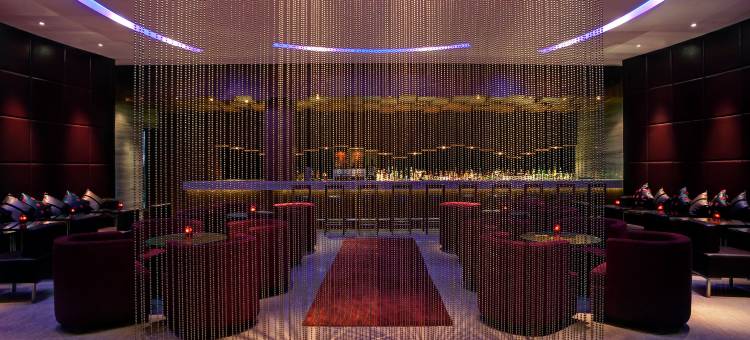 科罗曼德泰姬度假酒店(Taj Coromandel)图片