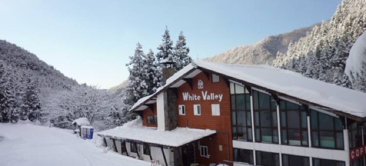 水上温泉乡 汤桧曾温泉 汤之阵酒店(Minakami Onsen Gou Yubiso Onsen Hotelyunojin)图片