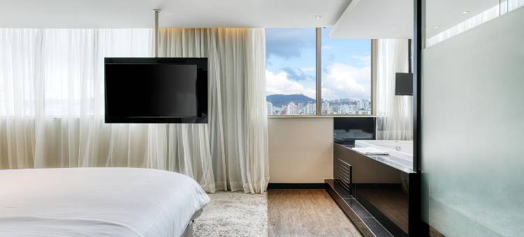 贝洛奥里藏特卢尔德美居酒店(Mercure Belo Horizonte Lourdes)图片