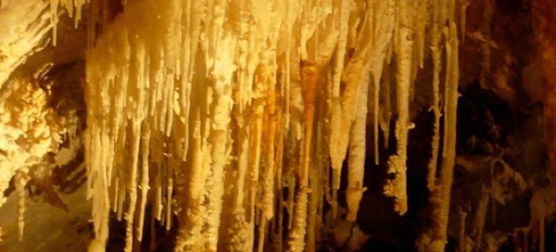 锡兰城堡之家酒店(Château de Siran - Hôtel & Spa)图片