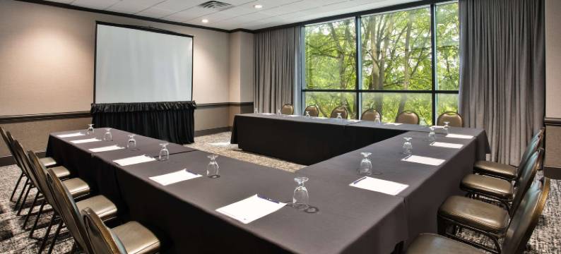 兰辛希尔顿逸林酒店(DoubleTree by Hilton Lansing)图片