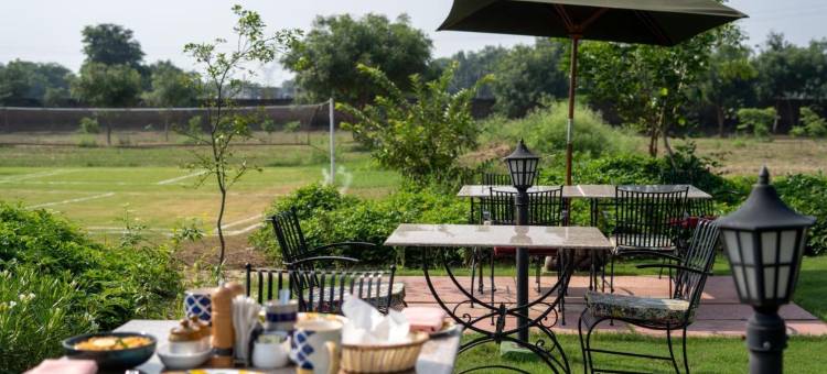 生命之树生态集装箱阿格拉(Tree of Life Ecotainers Agra)图片