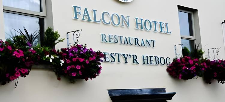 猎鹰酒店(Falcon Hotel)图片