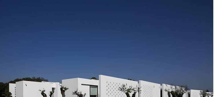 林斯埃科克酒店埃武拉(The Lince Ecorkhotel Évora)图片