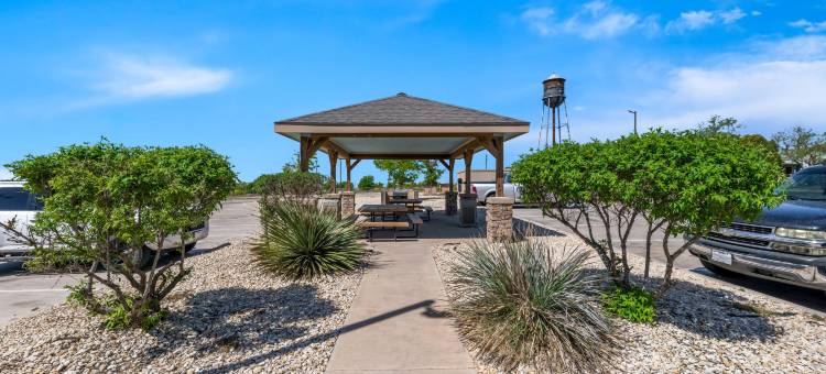 Quality Inn & Suites图片