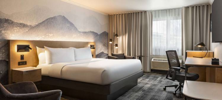 魁北克城中心贝斯特韦斯特优质酒店(Best Western Plus City Centre/Centre-Ville)图片