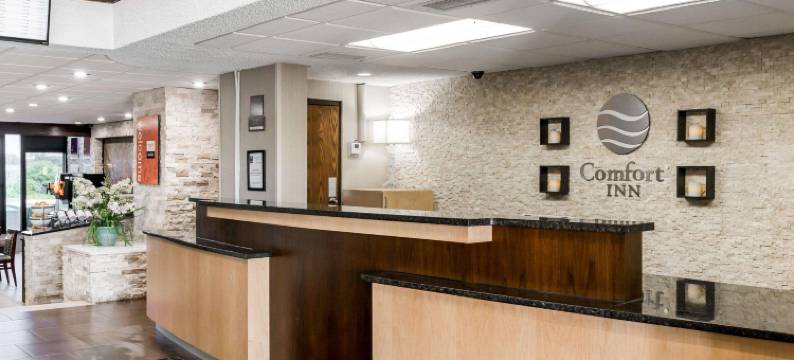 舒适酒店-大都会机场(Comfort Inn Metro Airport)图片