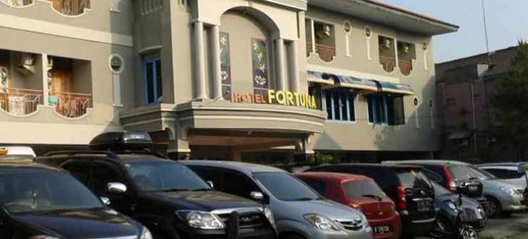 Fortuna Hotel图片
