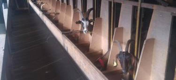 Eco Nature, Gite à la Ferme图片