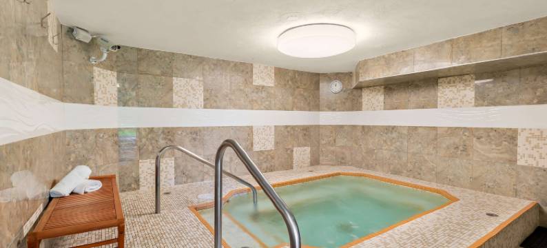 内港贝斯特韦斯特优质酒店(Best Western Plus Inner Harbour)图片