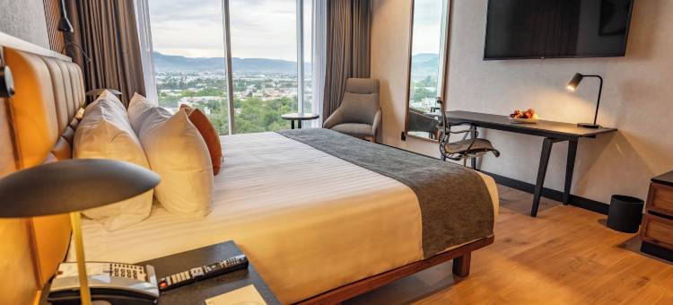 莱昂画廊广场(Galeria Plaza Leon)图片