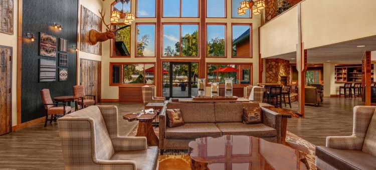 海沃德智选假日套房酒店(Holiday Inn Express & Suites Hayward)图片