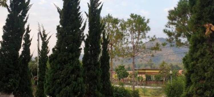普卢绿山度假村(Green Hill Resort Phurue)图片