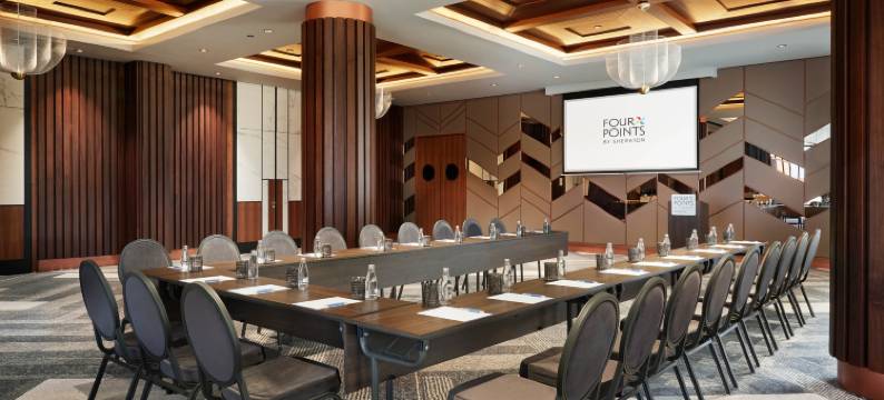 普里什蒂纳市福朋喜来登酒店(Four Points by Sheraton Prishtina City)图片