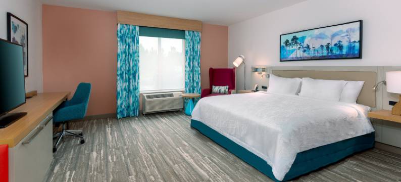 佛罗里达巴拿马城机场希尔顿花园酒店(Hilton Garden Inn Panama City Airport)图片