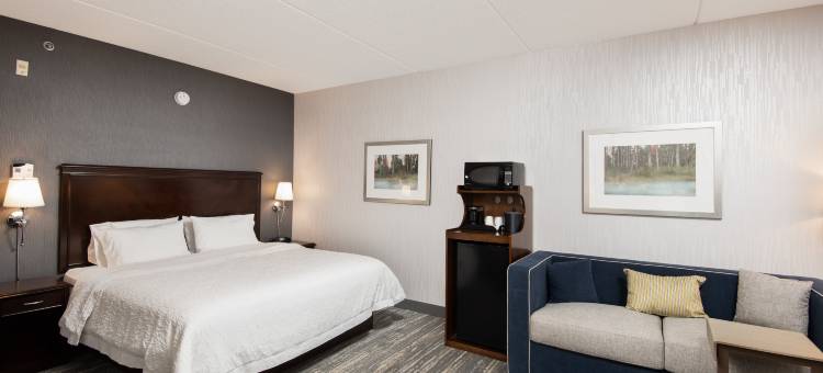 希尔顿欢朋酒店及套房巴里(Hampton Inn & Suites by Hilton Barrie)图片