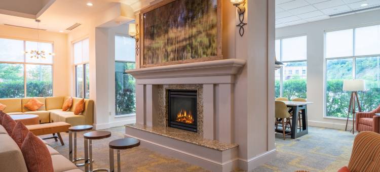 摩根敦希尔顿花园酒店(Hilton Garden Inn Morgantown)图片