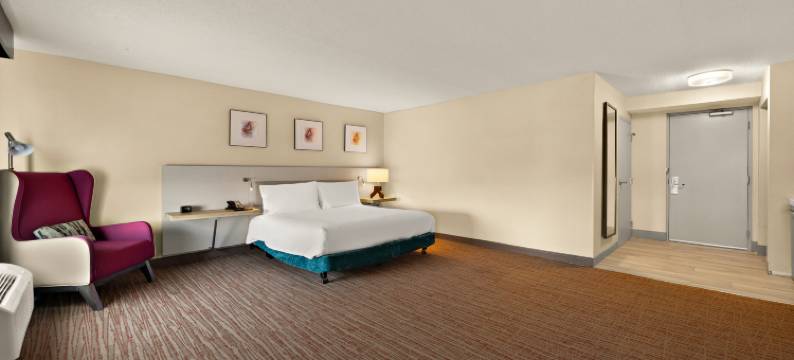 威廉斯堡希尔顿花园酒店(Hilton Garden Inn Williamsburg)图片