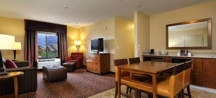希尔顿欢朋套房酒店-图森购物中心(Hampton Inn & Suites Tucson-Mall)图片