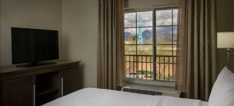 凤凰城/斯科茨代尔欢朋酒店(Hampton Inn & Suites Phoenix/Scottsdale)图片