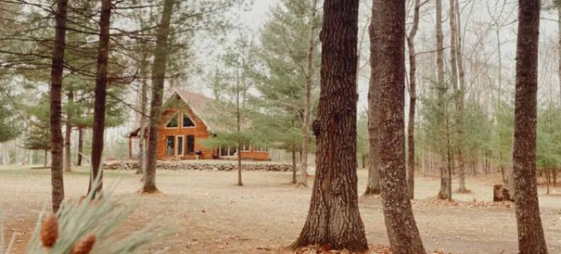 Lulu’s Lodge: Cozy Woods Cabin w/ Hot Tub + Stone Fireplace图片