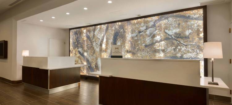 巴尔的摩华盛顿国际机场希尔顿大使套房酒店(Embassy Suites by Hilton Baltimore at BWI Airport)图片