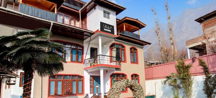 Collection O Brein Nishat Formerly Continental Guest House图片