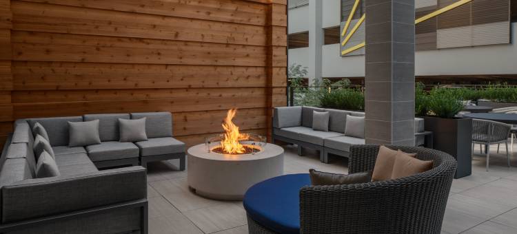 Hilton制造盒子首晒查尔特兴奋旅馆(Homewood Suites by Hilton Charlotte Uptown First Ward)图片