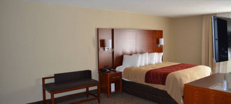 奥格尔索普套房酒店(Comfort Inn)图片