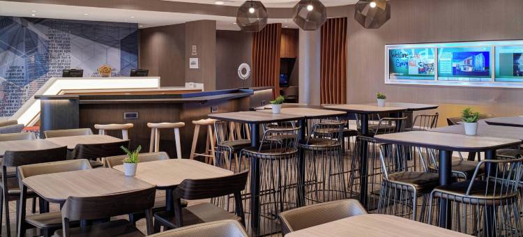底特律威克森万豪SpringHill Suites酒店(SpringHill Suites by Marriott Wixom Novi)图片