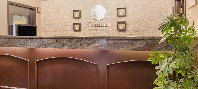 舒适酒店及套房大学(Comfort Inn & Suites University)图片