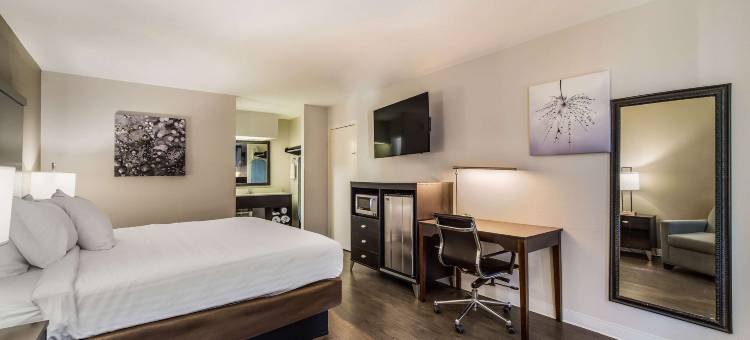 克拉丽奥套房酒店(Clarion Inn & Suites)图片