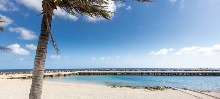 配备全套的现代阁楼 - 威廉斯塔德的隐藏宝石(Fully Equipped Modern Loft - Hidden Gem in Willemstad)图片