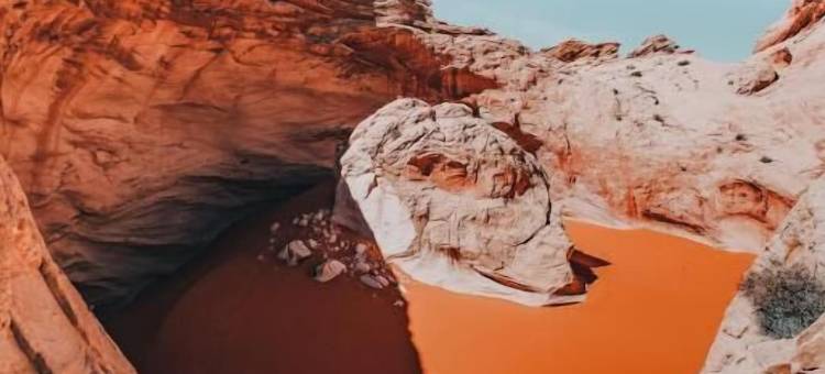 布莱斯豪华露营(Bryce Glamping)图片