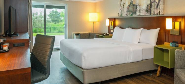 舒适酒店(Comfort Inn)图片