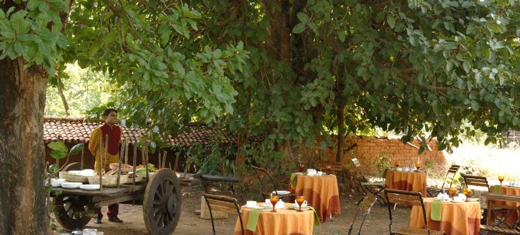 马华柯提班哈加尔国家公园酒店(Mahua Kothi Bandhavgarh - A Taj Safari Lodge)图片