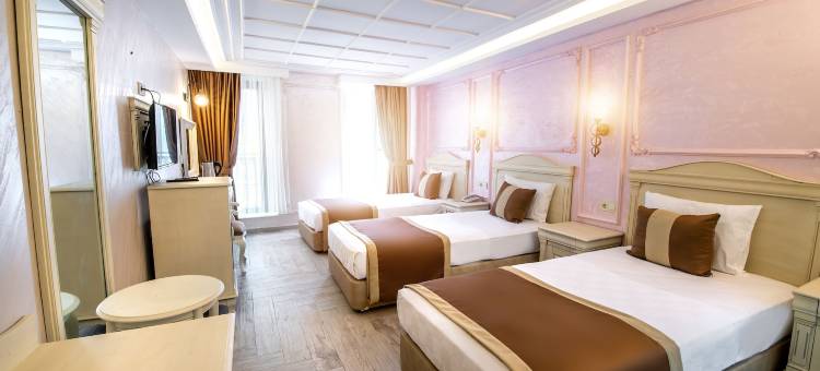 伊斯坦布尔阿索斯酒店(Istanbul My Assos Hotel)图片