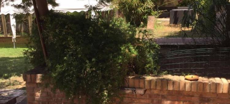 隆迪尼别墅酒店(B&B Villa Delle Rondini)图片