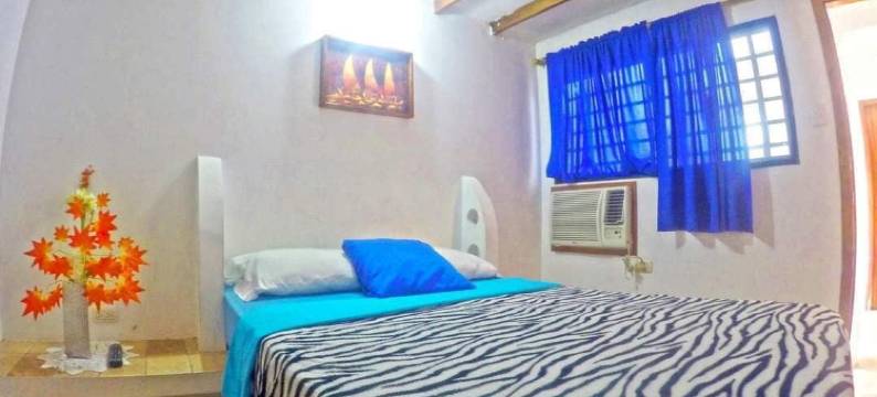 酒店椰子(Hotel Cocos)图片