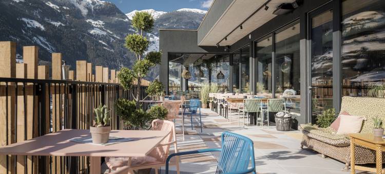 酷巢(Coolnest)图片