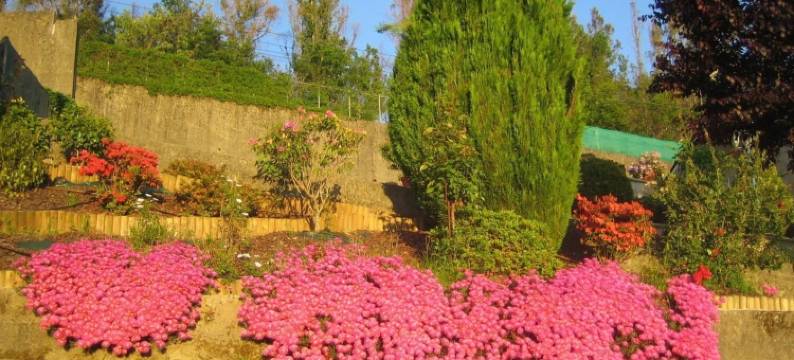 乔拉酒店(Hotel Chola)图片