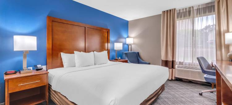 舒适酒店(Comfort Inn)图片