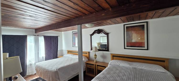 猎鹰巢汽车旅馆(Falcon Nest Motel)图片