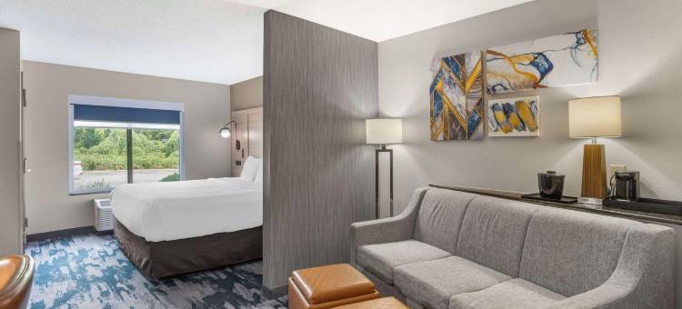 西门购物中心舒适套房酒店(Comfort Suites at WestGate Mall)图片