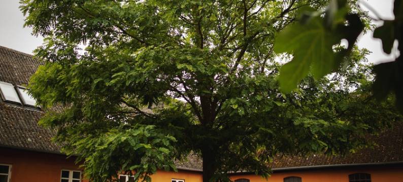 Akaciegaarden早餐和床(Akaciegaarden Bed & Breakfast)图片