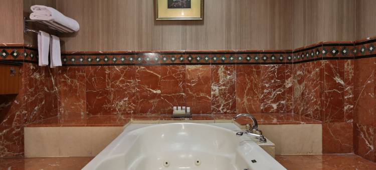 马那多阿雅杜塔酒店(Aryaduta Manado)图片