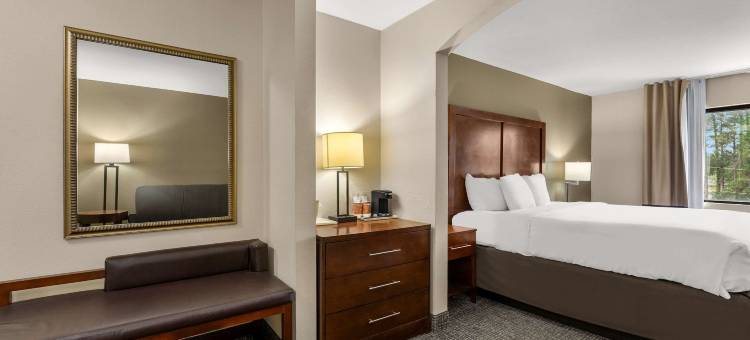 奇普雷I-10舒适套房酒店(Comfort Inn & Suites Chipley I-10)图片
