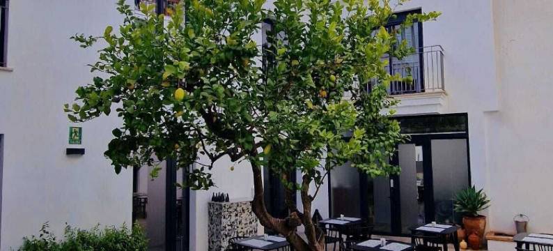 OPUNTIA精品酒店(Opuntia Hotel Boutique)图片