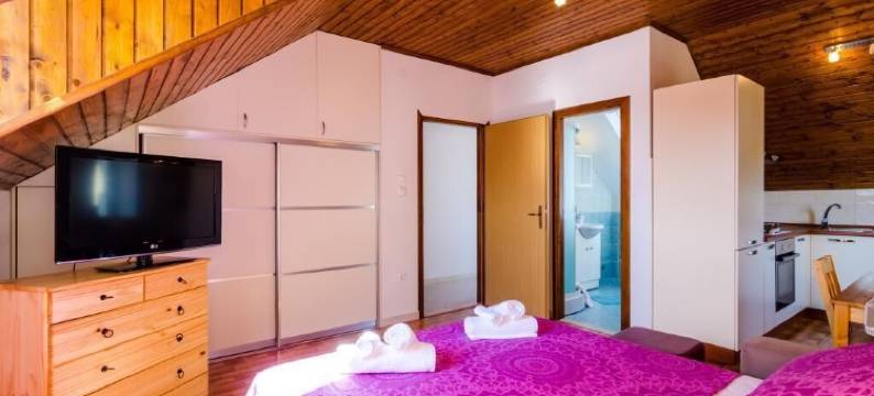 Tonka的露台公寓(Apartment Tonka's Terrace)图片